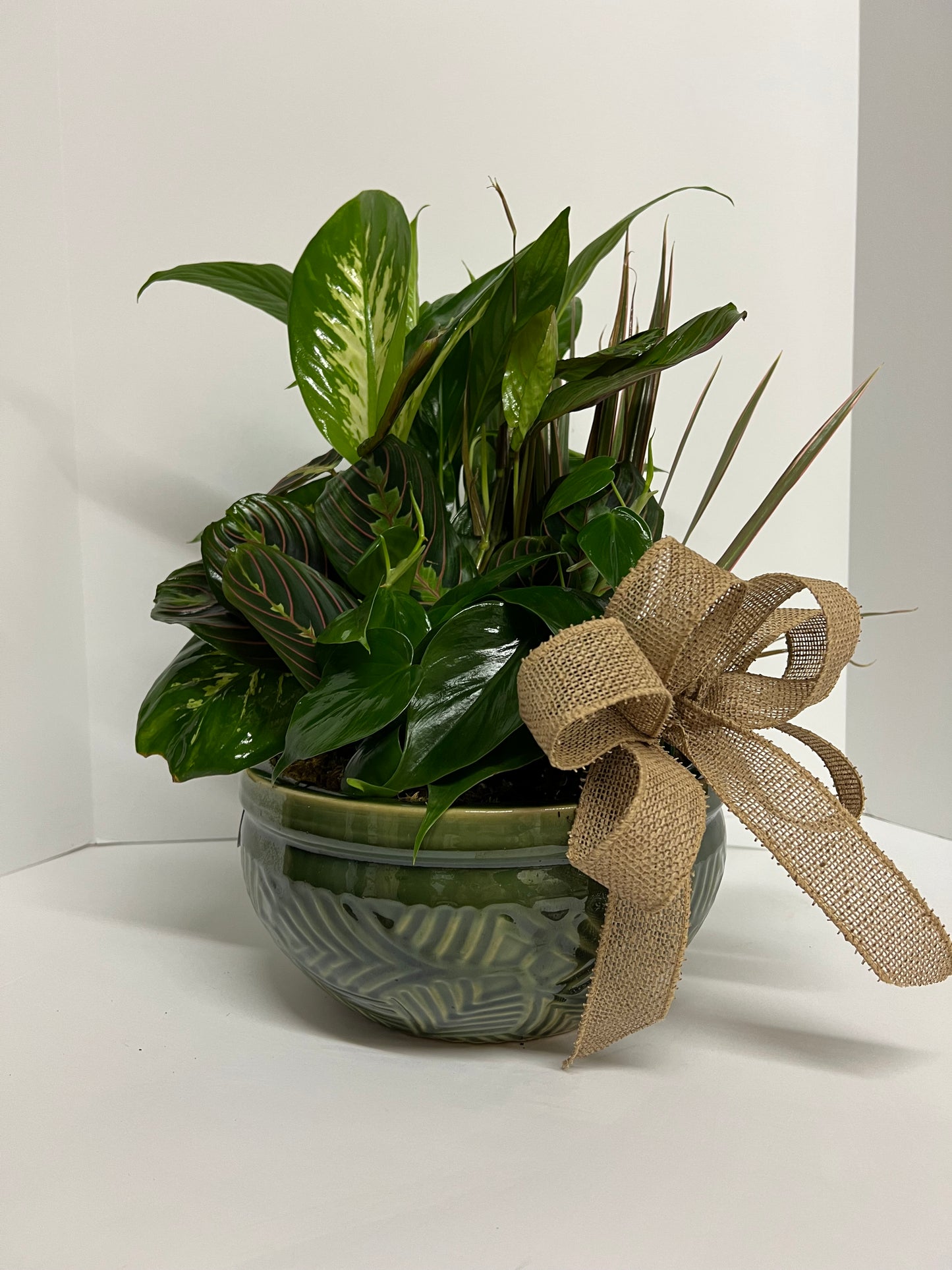 Medium Ceramic Dishgarden – Mulhearn Flowers Llc, West Monroe LA