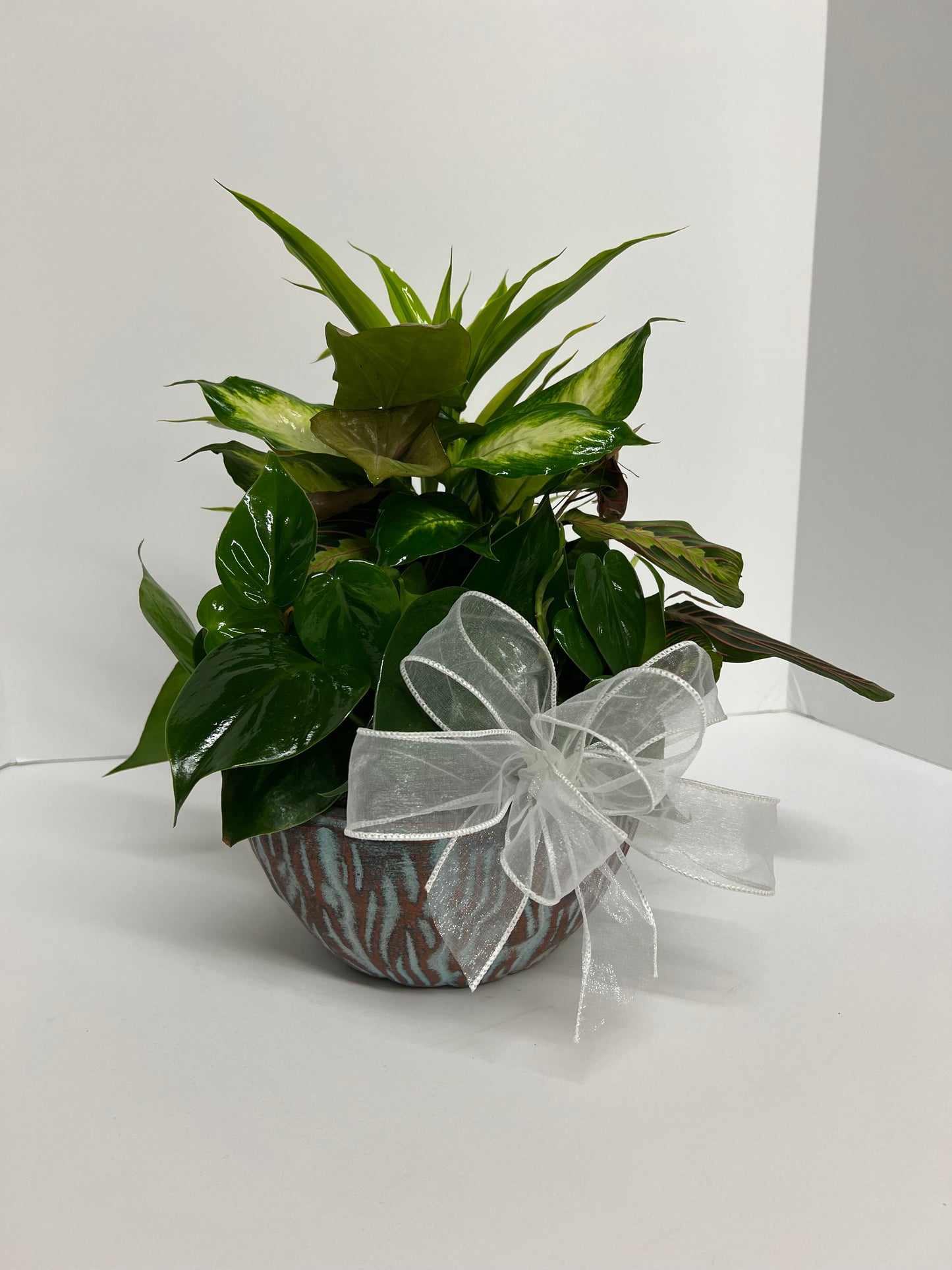 Small Ceramic Dishgarden – Mulhearn Flowers Llc, West Monroe LA