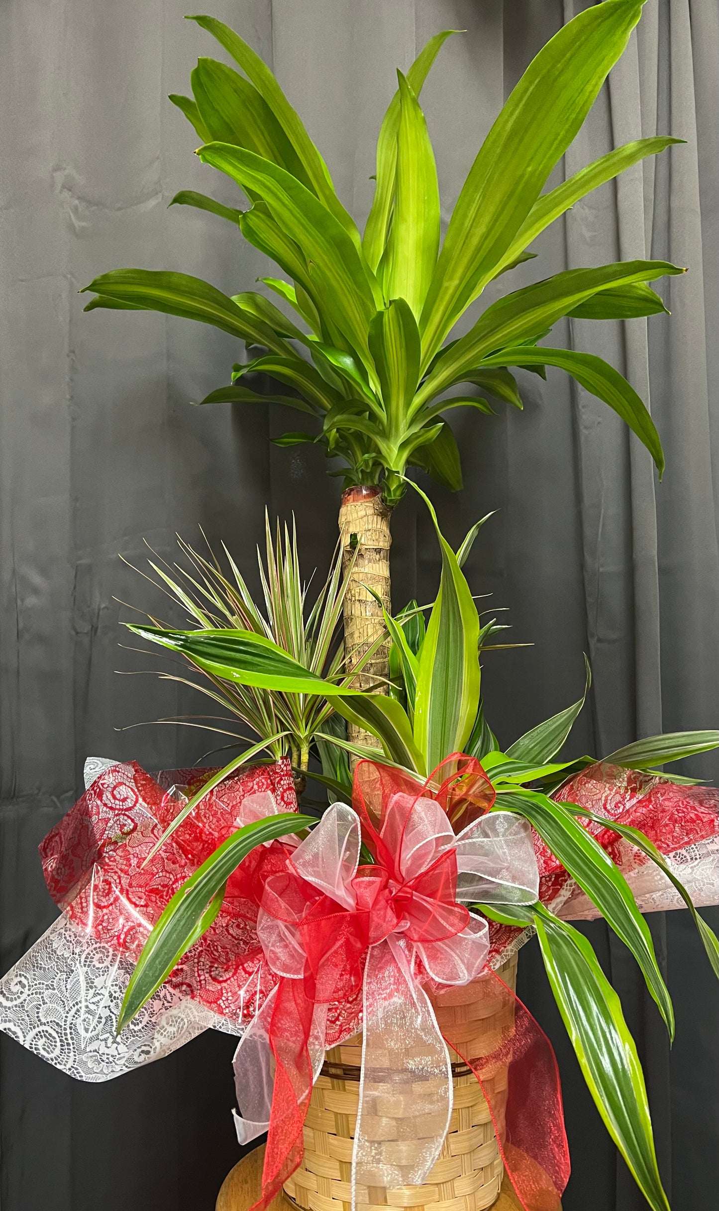 Combo Planter – Mulhearn Flowers Llc, West Monroe LA