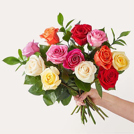 ROSE OF THE WEEK – Mulhearn Flowers Llc, West Monroe LA