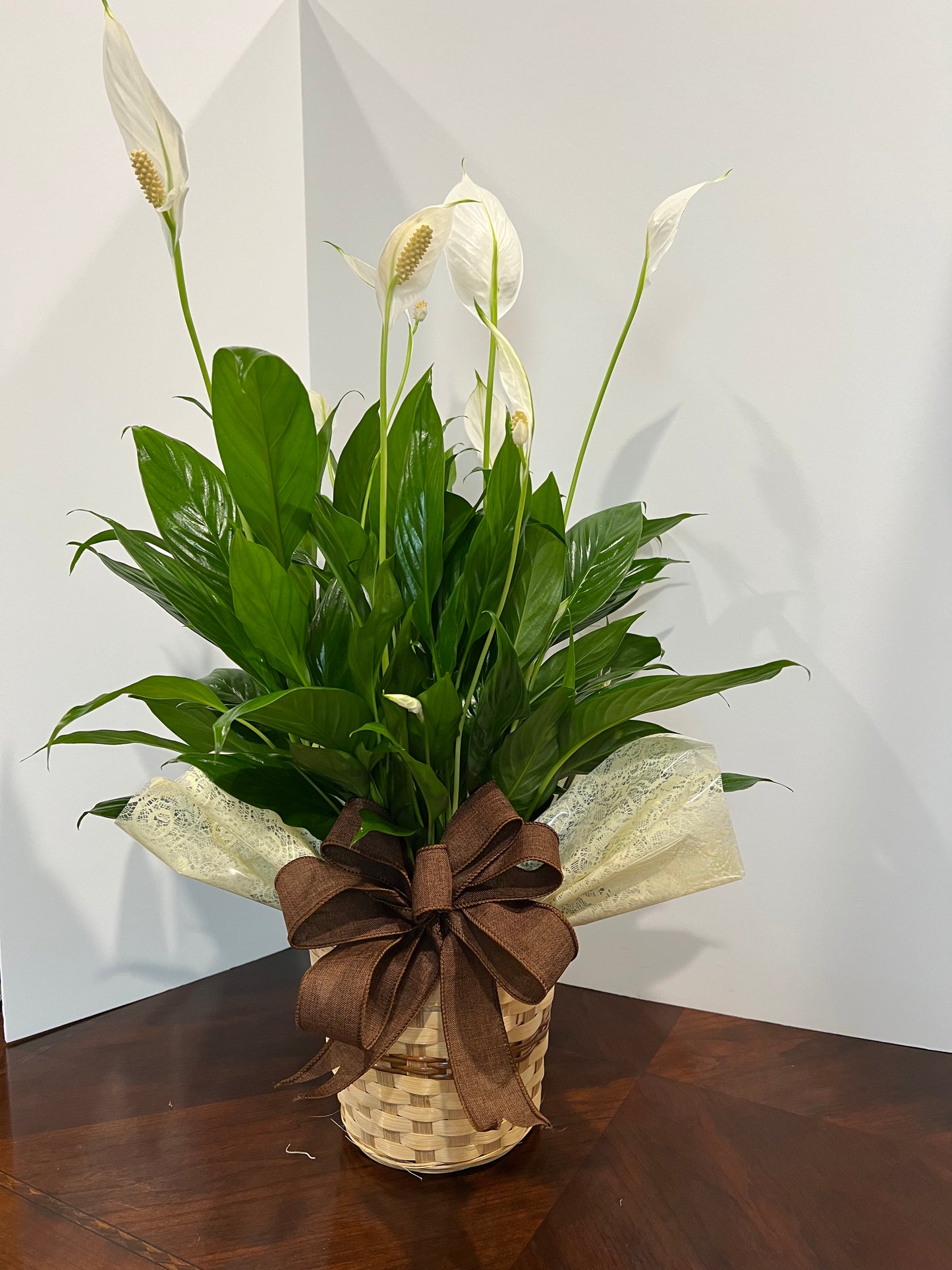 Peace Lily – Mulhearn Flowers Llc, West Monroe LA