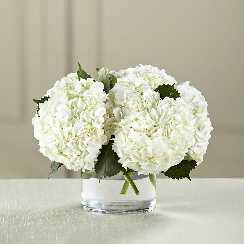 White Hydrangea Bouquet – Mulhearn Flowers Llc, West Monroe LA
