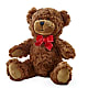 Adorable Plush Bear –  Mulhearn Flowers Llc, West Monroe LA