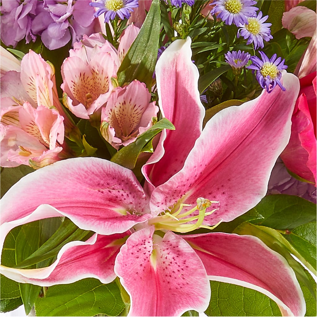 Written in the Stars Bouquet –  Mulhearn Flowers Llc, West Monroe LA