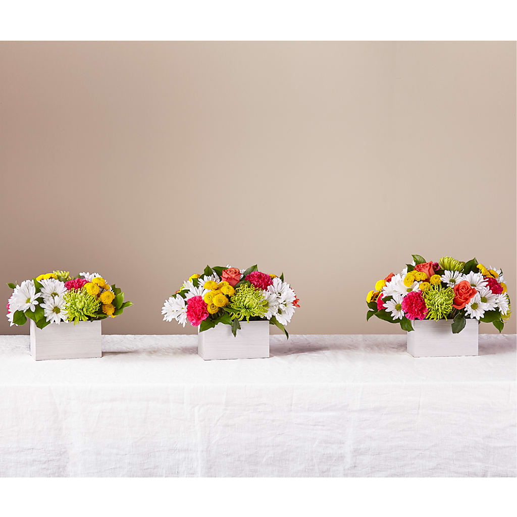 Sorbet Bouquet –  Mulhearn Flowers Llc, West Monroe LA