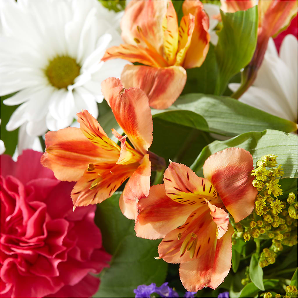 Oopsie Daisy Box Bouquet –  Mulhearn Flowers Llc, West Monroe LA
