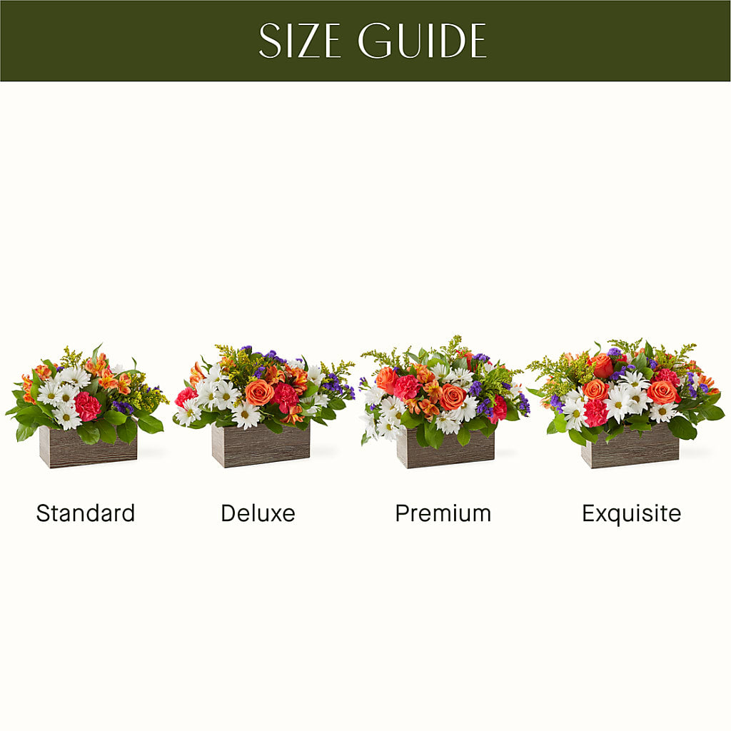 Oopsie Daisy Box Bouquet –  Mulhearn Flowers Llc, West Monroe LA