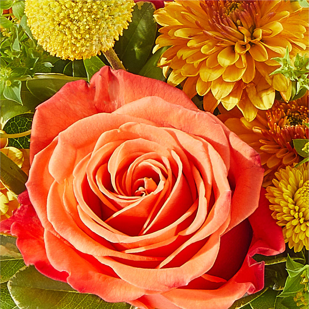 Gourdgeous Pumpkin –  Mulhearn Flowers Llc, West Monroe LA