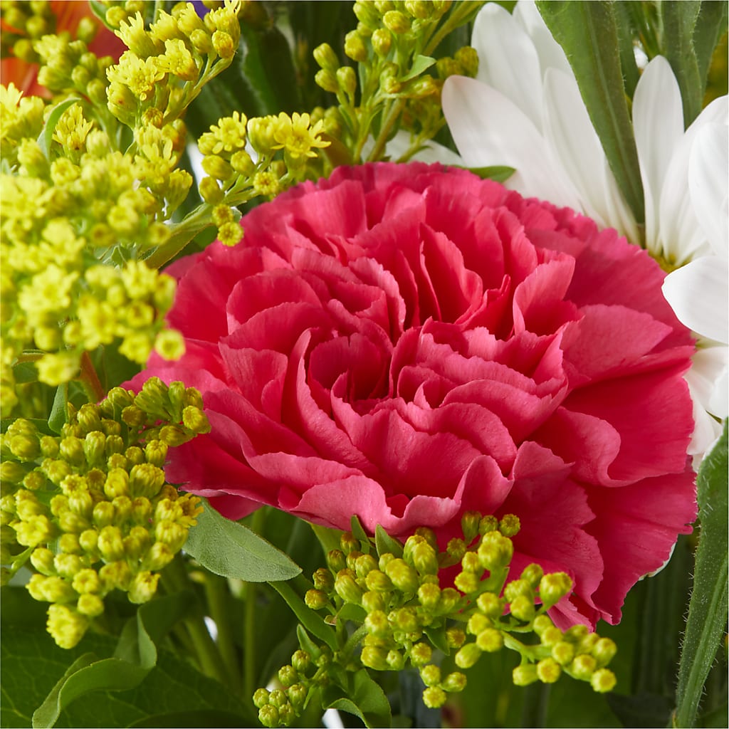 Oopsie Daisy Bouquet –  Mulhearn Flowers Llc, West Monroe LA