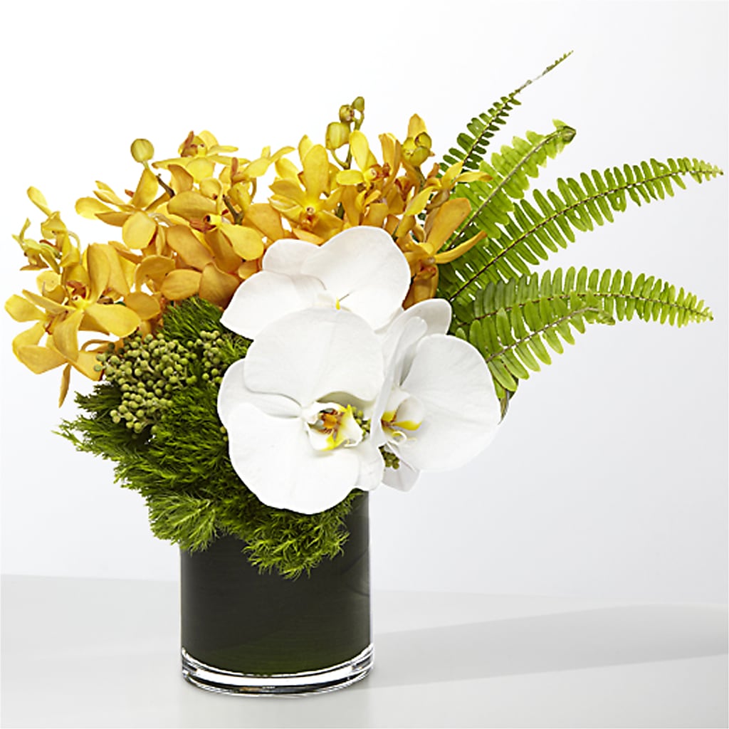 The Tropics –  Mulhearn Flowers Llc, West Monroe LA