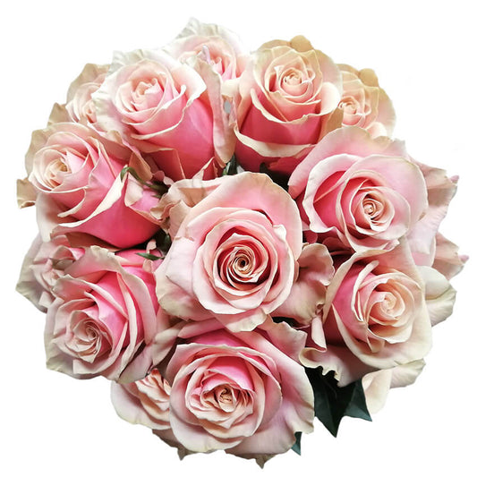 PINK AMERETTO ROSES VALENTINE'S PREMIUM VARIETY