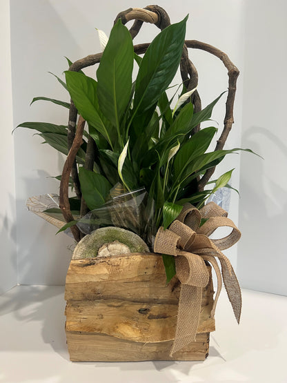 PEACEFUL NATURE –  Mulhearn Flowers Llc, West Monroe LA