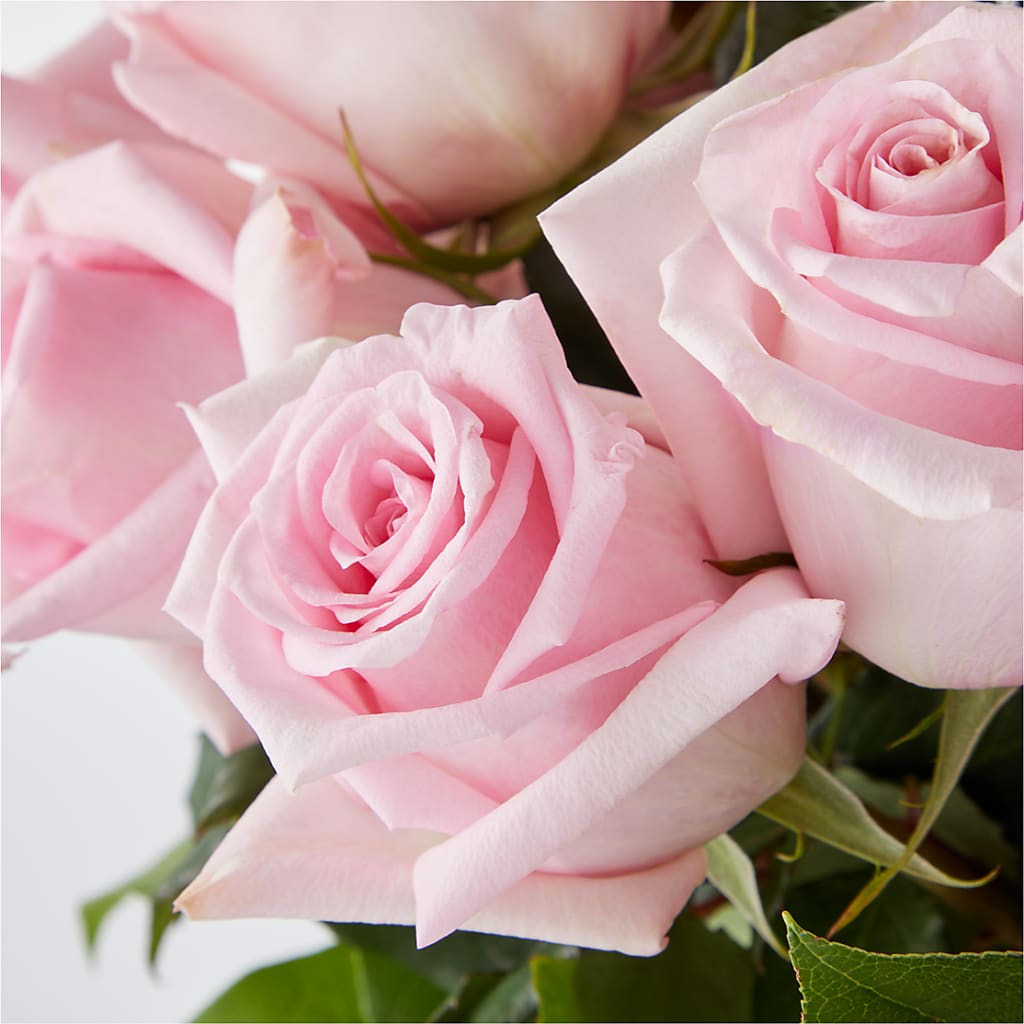 Picture Perfect Pink Rose Bouquet –  Mulhearn Flowers Llc, West Monroe LA