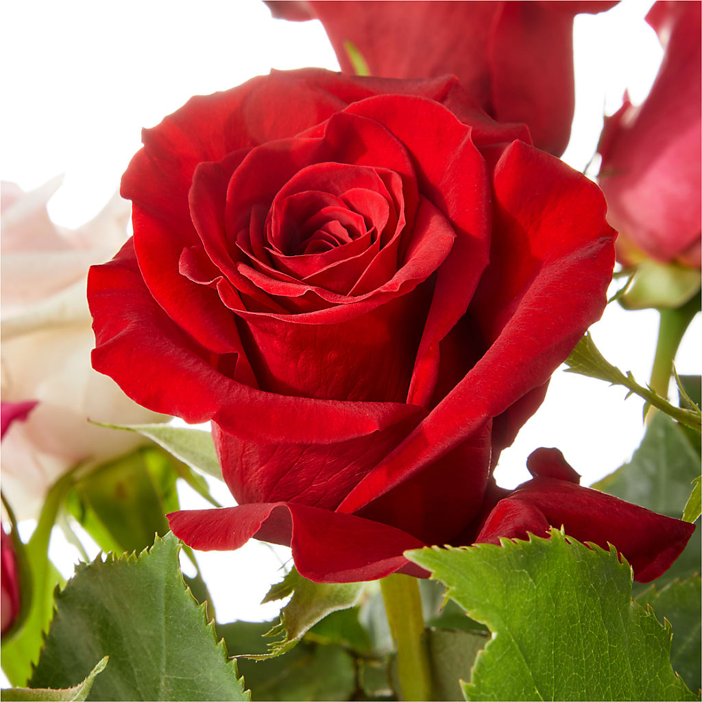 Love Notes Rose Bouquet –  Mulhearn Flowers Llc, West Monroe LA