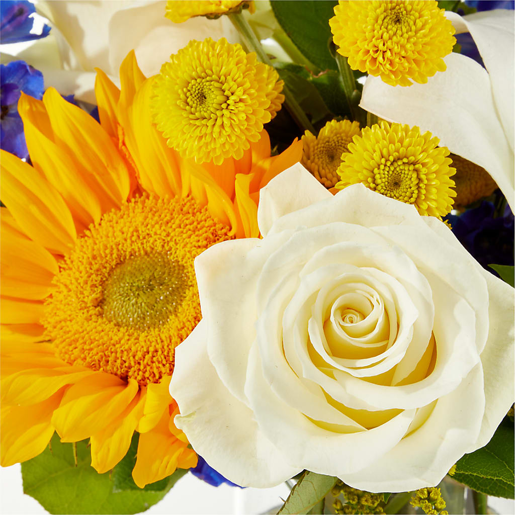 Stargazing Bouquet –  Mulhearn Flowers Llc, West Monroe LA