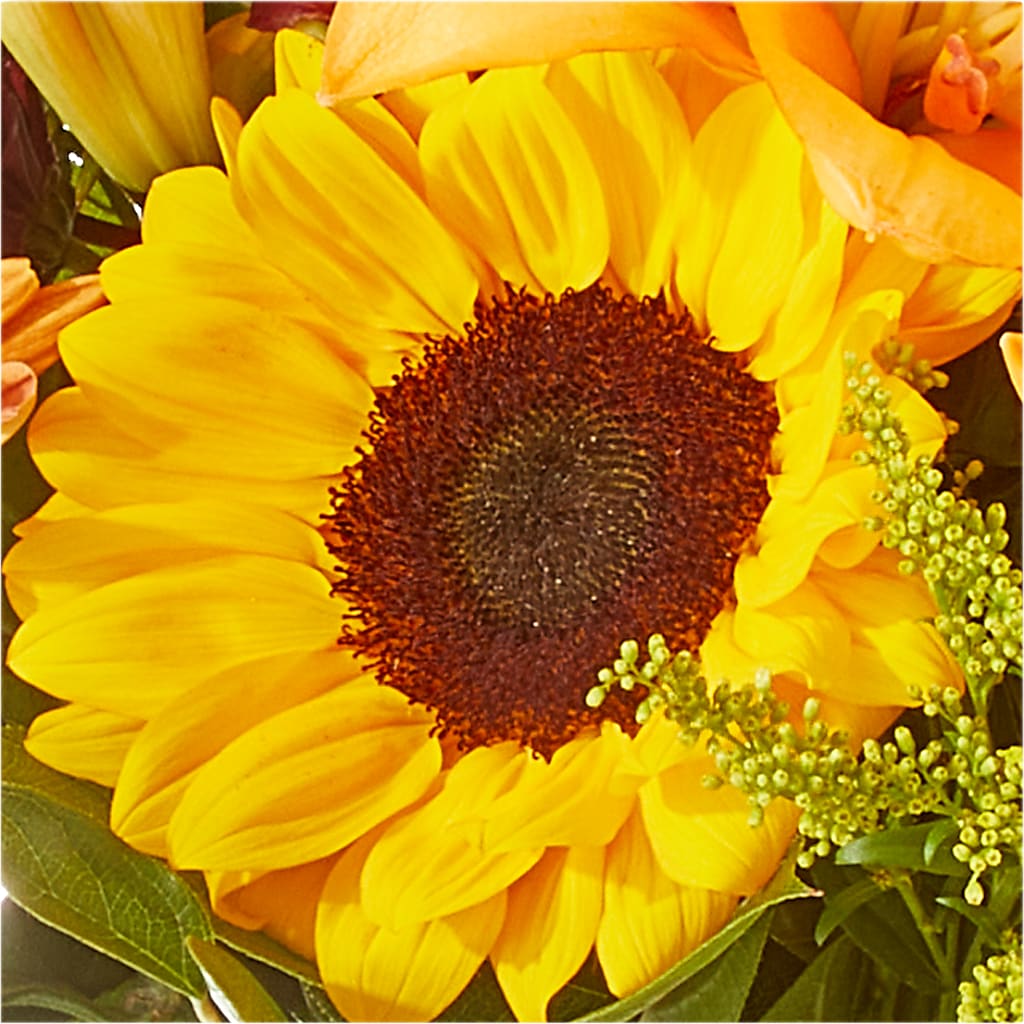Seasons Change Bouquet –  Mulhearn Flowers Llc, West Monroe LA