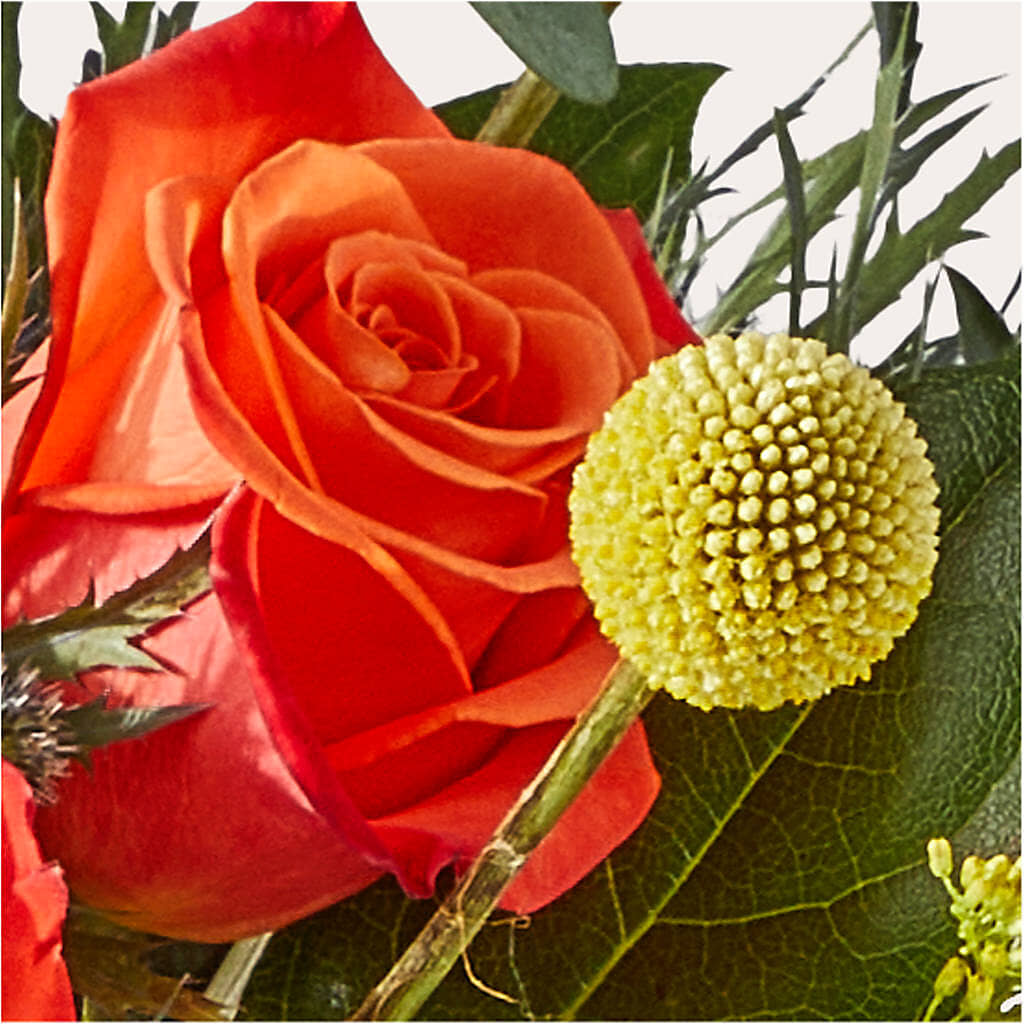 Disco Bouquet –  Mulhearn Flowers Llc, West Monroe LA