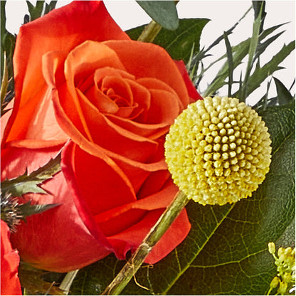 Disco Bouquet –  Mulhearn Flowers Llc, West Monroe LA