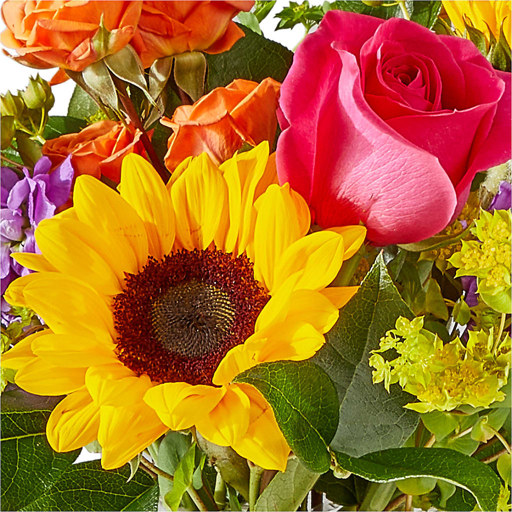 Vibrant Greetings Bouquet –  Mulhearn Flowers Llc, West Monroe LA