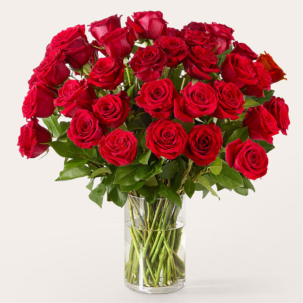 The One Red Rose Bouquet –  Mulhearn Flowers Llc, West Monroe LA