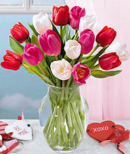 VALENTINE'S DAY TULIPS