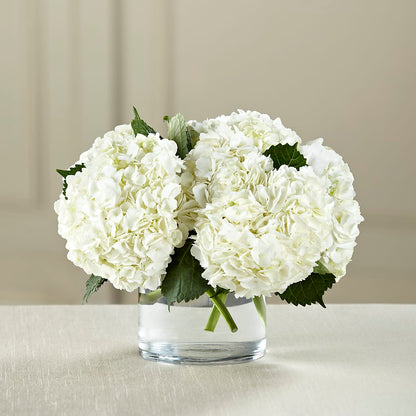 White Hydrangea Bouquet –  Mulhearn Flowers Llc, West Monroe LA